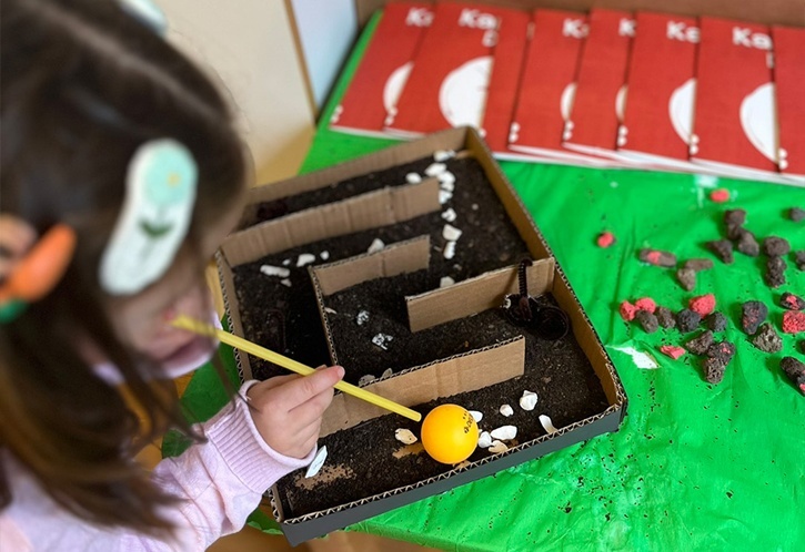  Minik Karıncaların İzinde Eğlenceli Bir Yolculuk