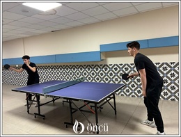 Masa Tenisi Turnuvası