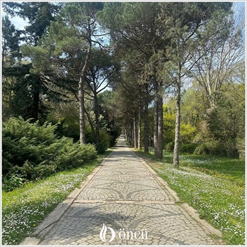 2026-lise-tarih-yarisma-1