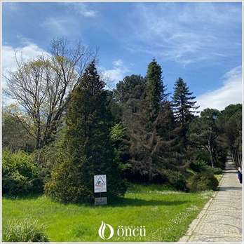 2026-lise-tarih-yarisma-2