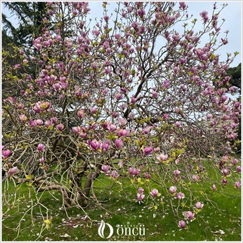 2026-lise-tarih-yarisma-5