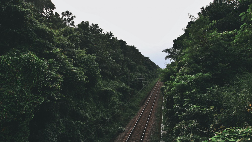 railway_trees_road_117677_3840x2160